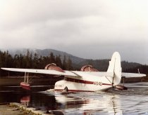 Webber Air Goose